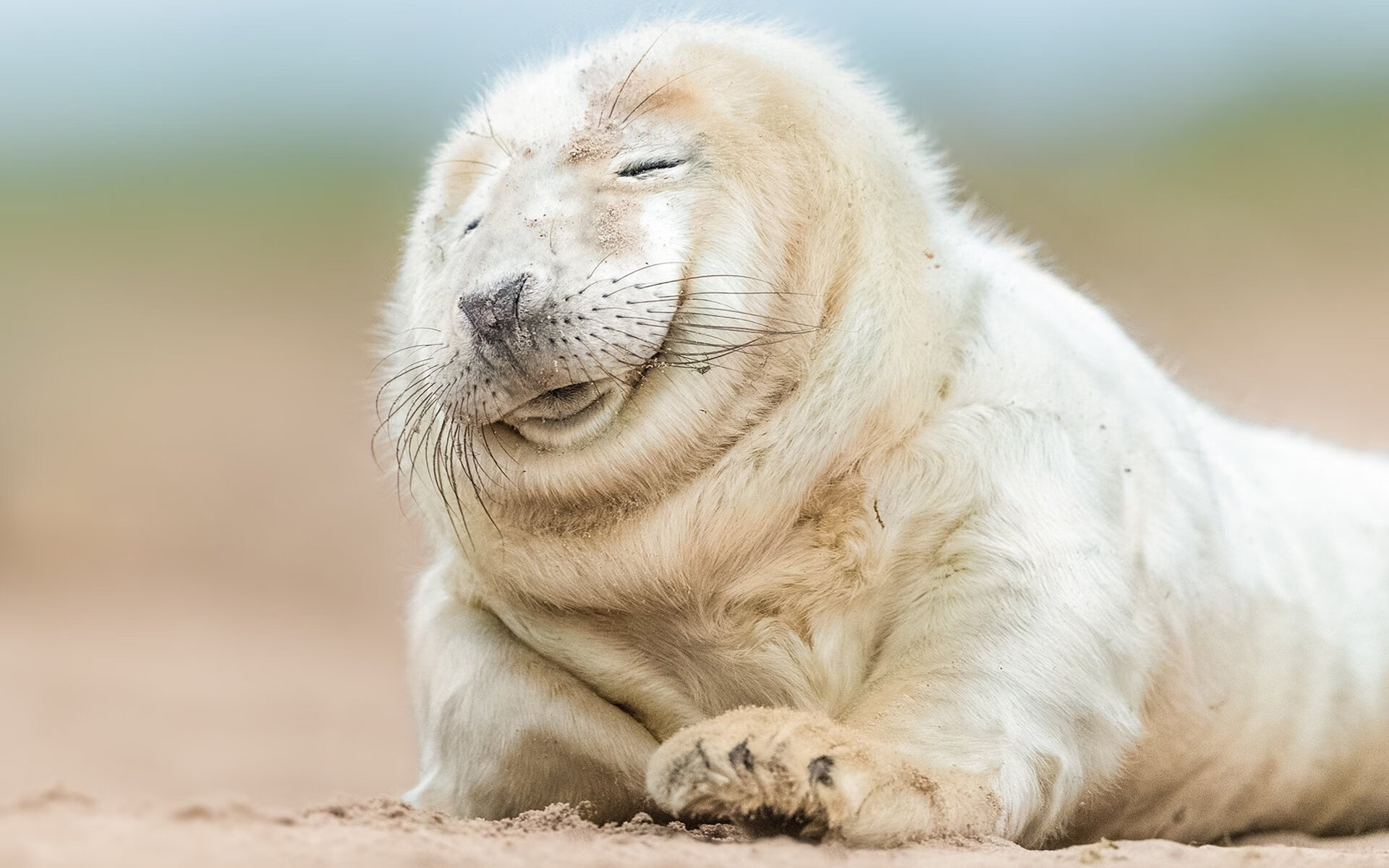 满分试卷,欧冠淘汰赛之夜,卢卡库与命运的最后博弈