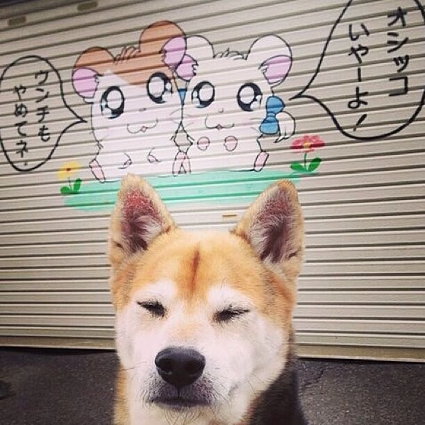 篮球宇宙的意外交汇，吉林虎啸鹈鹕，爱德华兹东决封神