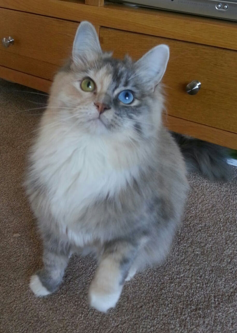 华体会登录-平凡巨匠，当坎特的靴尖划破欧战的夜空